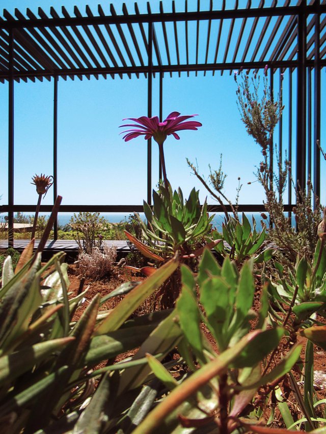 pabellon del alto _02 @atipicoespacial