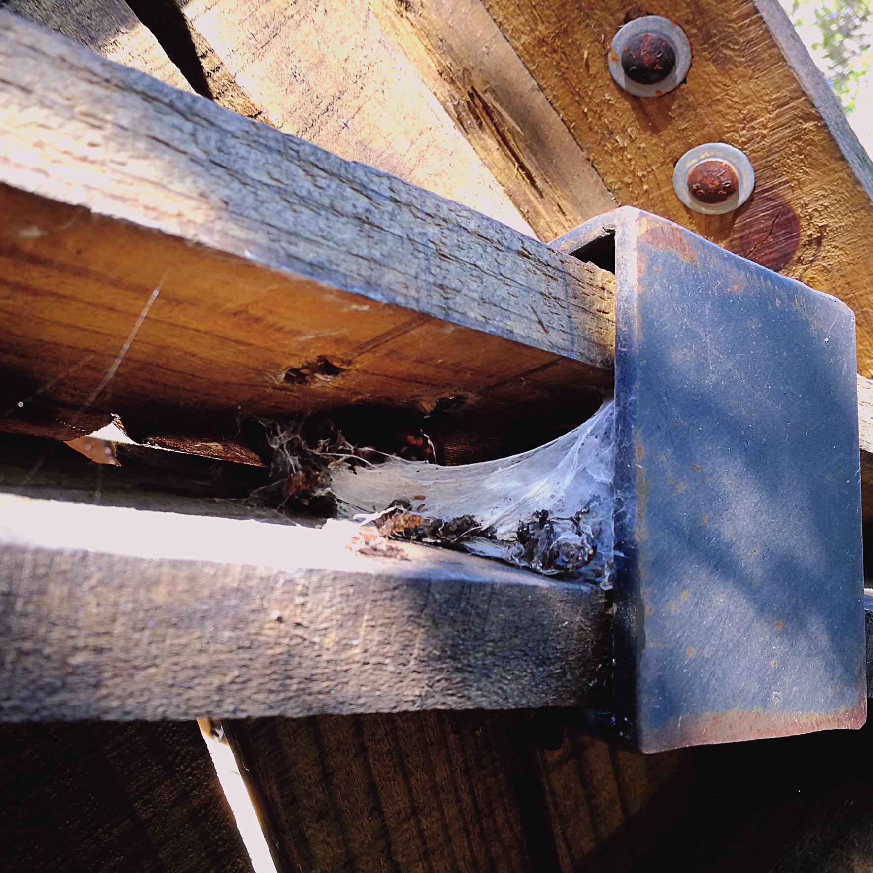 refugio girable _09 @atipicoespacial