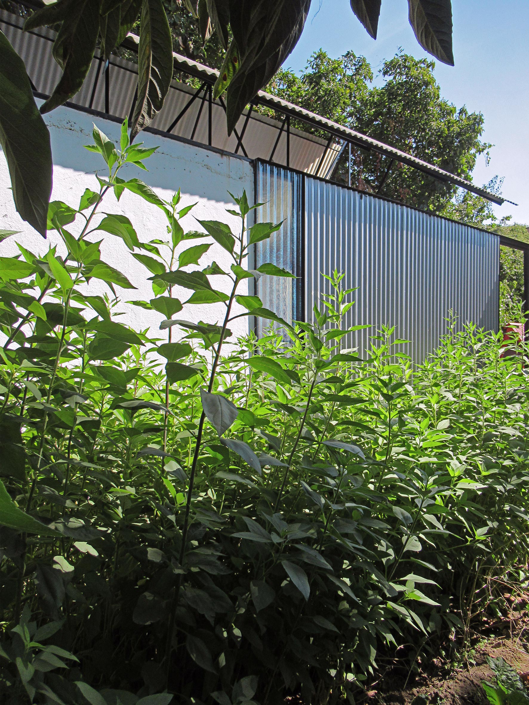 galpon-39-@atipicoespacial-10