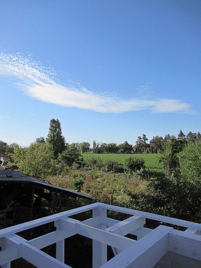 huevo-secreto-22-@atipicoespacial